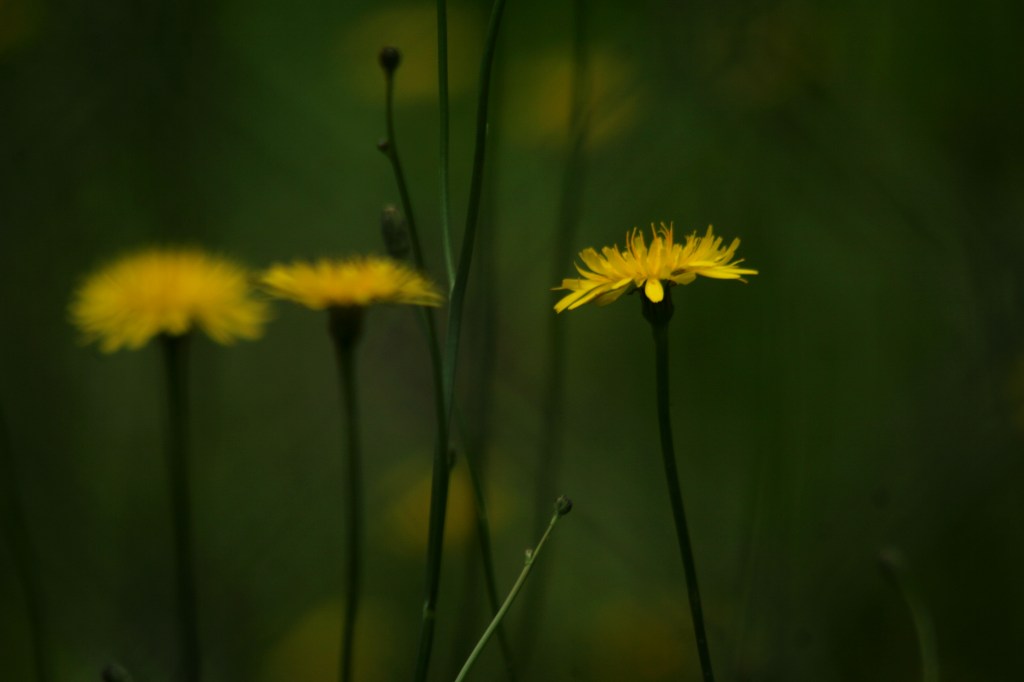 Faith, spells, and hospitals in South&nbsp;Africa