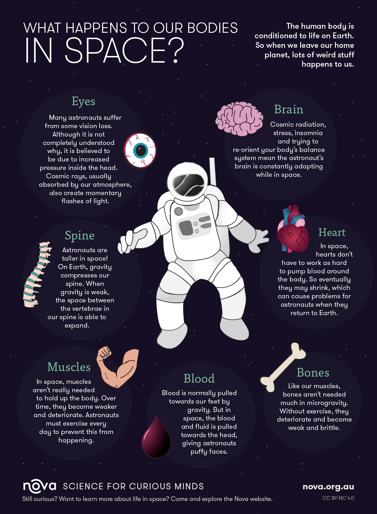 Telemedicine: the link between Space Medicine and Global Health – Eye ...
