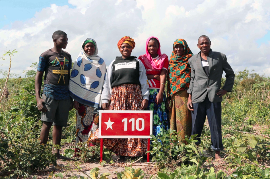 Screenshot 2020-04-29 13.45.32