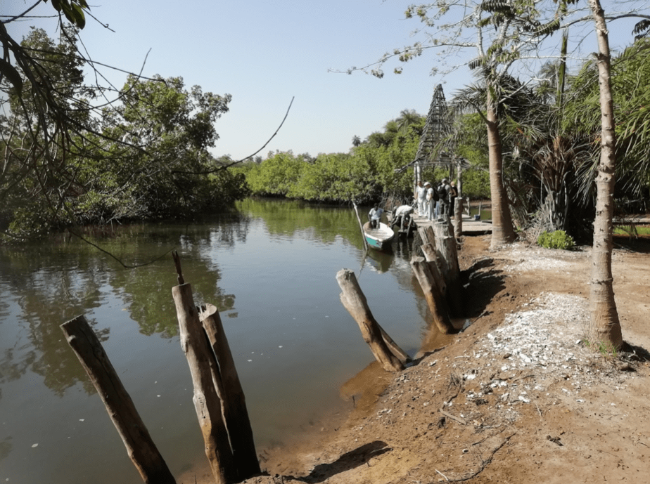 Screenshot 2020-05-28 13.37.31