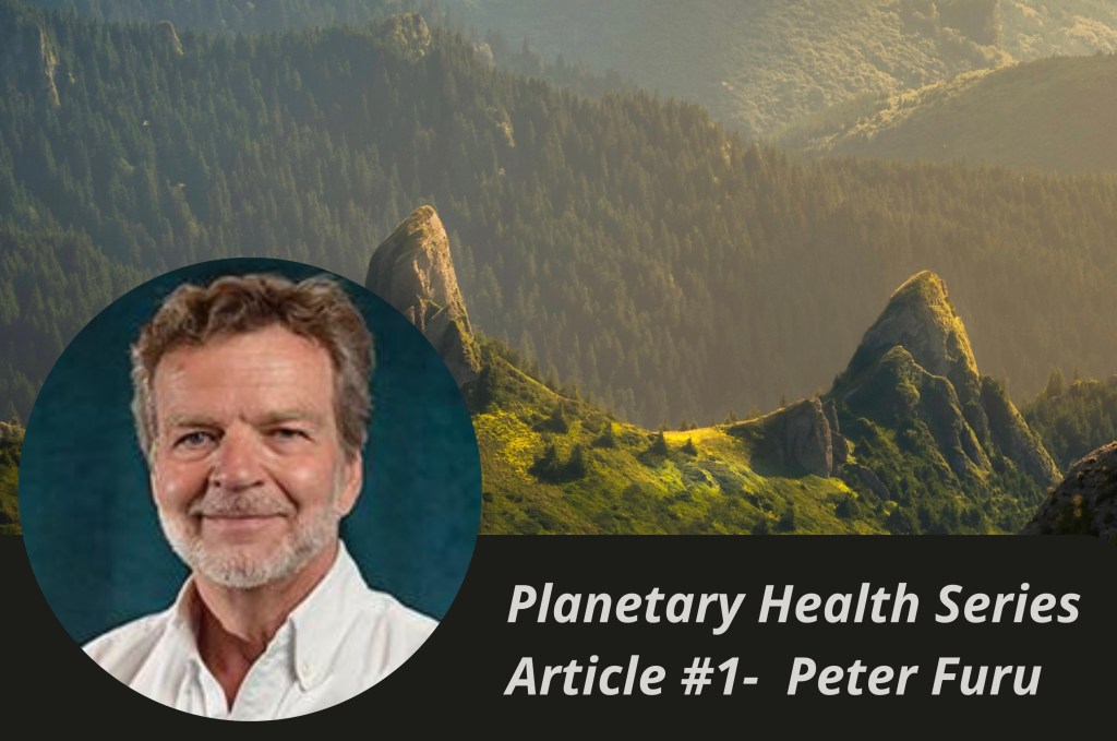 ‘Planet Earth is also like a “patient” that needs treatment and care’ An interview with Peter&nbsp;Furu